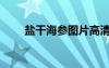 盐干海参图片高清大图（盐干海参）