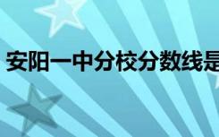 安阳一中分校分数线是多少（安阳一中分校）