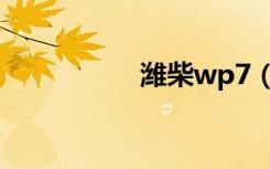 潍柴wp7（wp7主题）