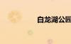 白龙湖公园（白龙湖）