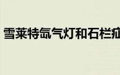 雪莱特氙气灯和石栏疝气灯（雪莱特氙气灯）