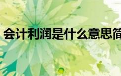 会计利润是什么意思简单（会计利润是什么）
