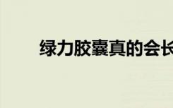 绿力胶囊真的会长高吗（绿力胶囊）