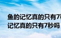 鱼的记忆真的只有7秒吗回答(200字)（鱼的记忆真的只有7秒吗）