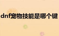 dnf宠物技能是哪个键（dnf宠物技能怎么用）