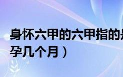 身怀六甲的六甲指的是多少天（身怀六甲是怀孕几个月）