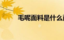 毛呢面料是什么面料（毛呢面料）
