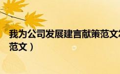 我为公司发展建言献策范文怎么写（我为公司发展建言献策范文）