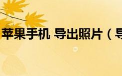 苹果手机 导出照片（导出苹果手机里的照片）