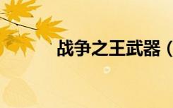 战争之王武器（战争之王出装）