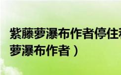 紫藤萝瀑布作者停住和加快脚步的原因（紫藤萝瀑布作者）