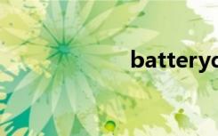 batterydetective