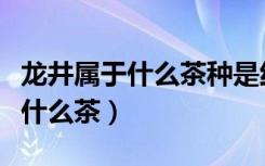 龙井属于什么茶种是红茶还是绿茶（龙井属于什么茶）