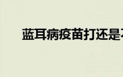 蓝耳病疫苗打还是不打（蓝耳病疫苗）