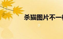 杀猫图片不一样（多图杀猫）