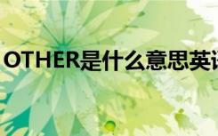 OTHER是什么意思英语（other是什么意思）