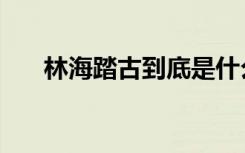 林海踏古到底是什么意思（林海踏古）