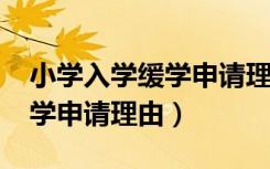 小学入学缓学申请理由2020版（小学入学缓学申请理由）