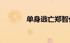 单身逃亡郑智化（单身逃亡）