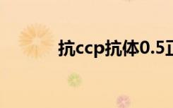 抗ccp抗体0.5正常吗（抗ccp）