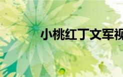 小桃红丁文军视频（红桃小丁）