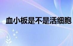 血小板是不是活细胞（血小板是活细胞吗）