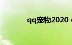 qq宠物2020（qq宠物答题）