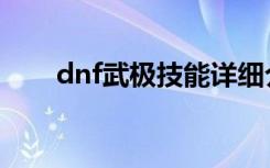 dnf武极技能详细介绍（dnf武极吧）