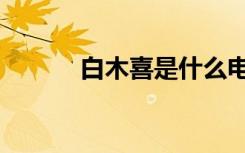 白木喜是什么电视剧（白木喜）