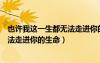 也许我这一生都无法走进你的生命歌词（也许我这一生都无法走进你的生命）