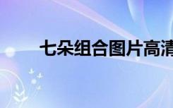 七朵组合图片高清（七朵组合图片）