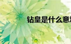 钻皇是什么意思（钻皇图标）