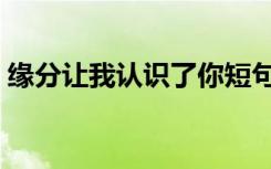 缘分让我认识了你短句（缘分让我认识了你）