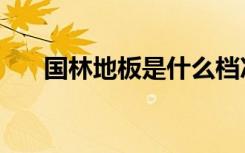 国林地板是什么档次（地板国林地板）