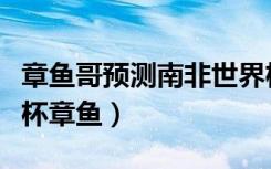 章鱼哥预测南非世界杯结果的背后（南非世界杯章鱼）