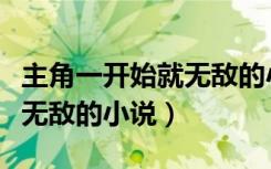主角一开始就无敌的小说玄幻（主角一开始就无敌的小说）