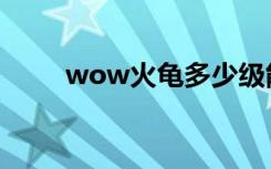 wow火龟多少级能抓（wow火龟）
