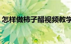 怎样做柿子醋视频教学（怎样做柿子醋视频）