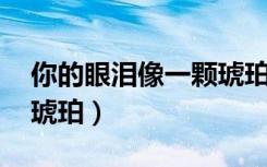 你的眼泪像一颗琥珀 歌词（你的眼泪像一颗琥珀）