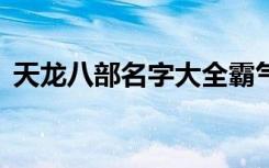 天龙八部名字大全霸气的（天龙八部3名字）