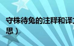 守株待兔的注释和译文（因释其耒而守株的意思）
