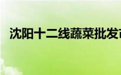沈阳十二线蔬菜批发市场（蔬菜批发市场）