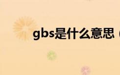 gbs是什么意思（gb是什么意思）