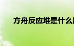 方舟反应堆是什么原理（方舟反应堆）