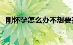 刚怀孕怎么办不想要孩子（刚怀孕怎么办）