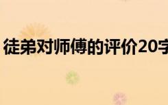 徒弟对师傅的评价20字（徒弟对师傅的评价）