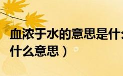 血浓于水的意思是什么意思是什么（血浓于水什么意思）