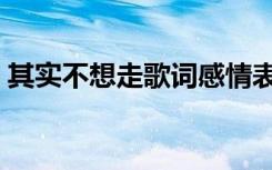 其实不想走歌词感情表达（其实不想走歌词）