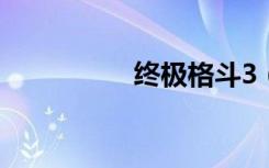 终极格斗3（终极格斗）