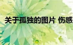 关于孤独的图片 伤感（有关于孤独的图片）